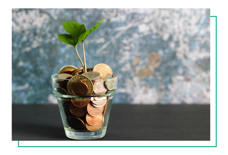 plant growing from pot full of coins