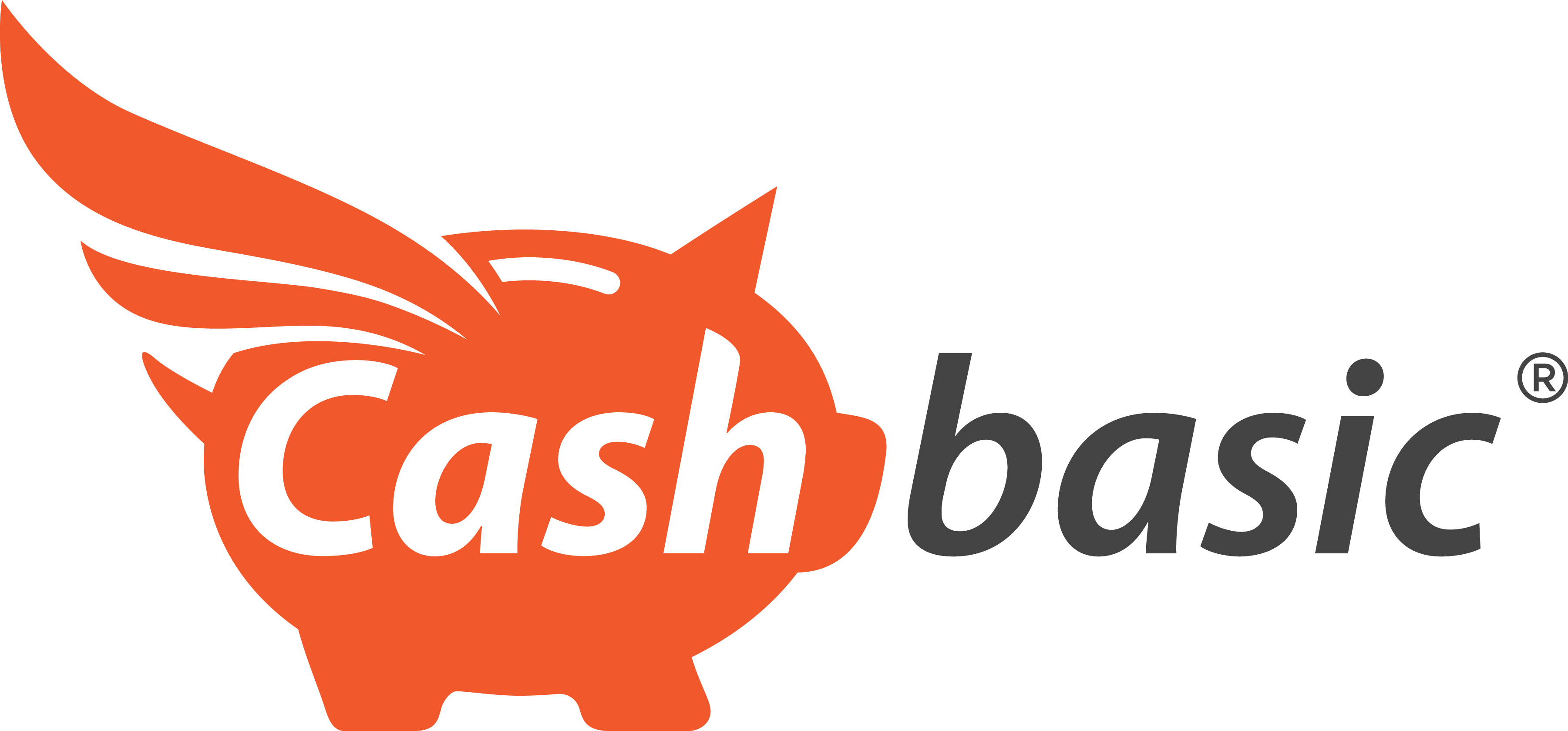 cashbasic logo