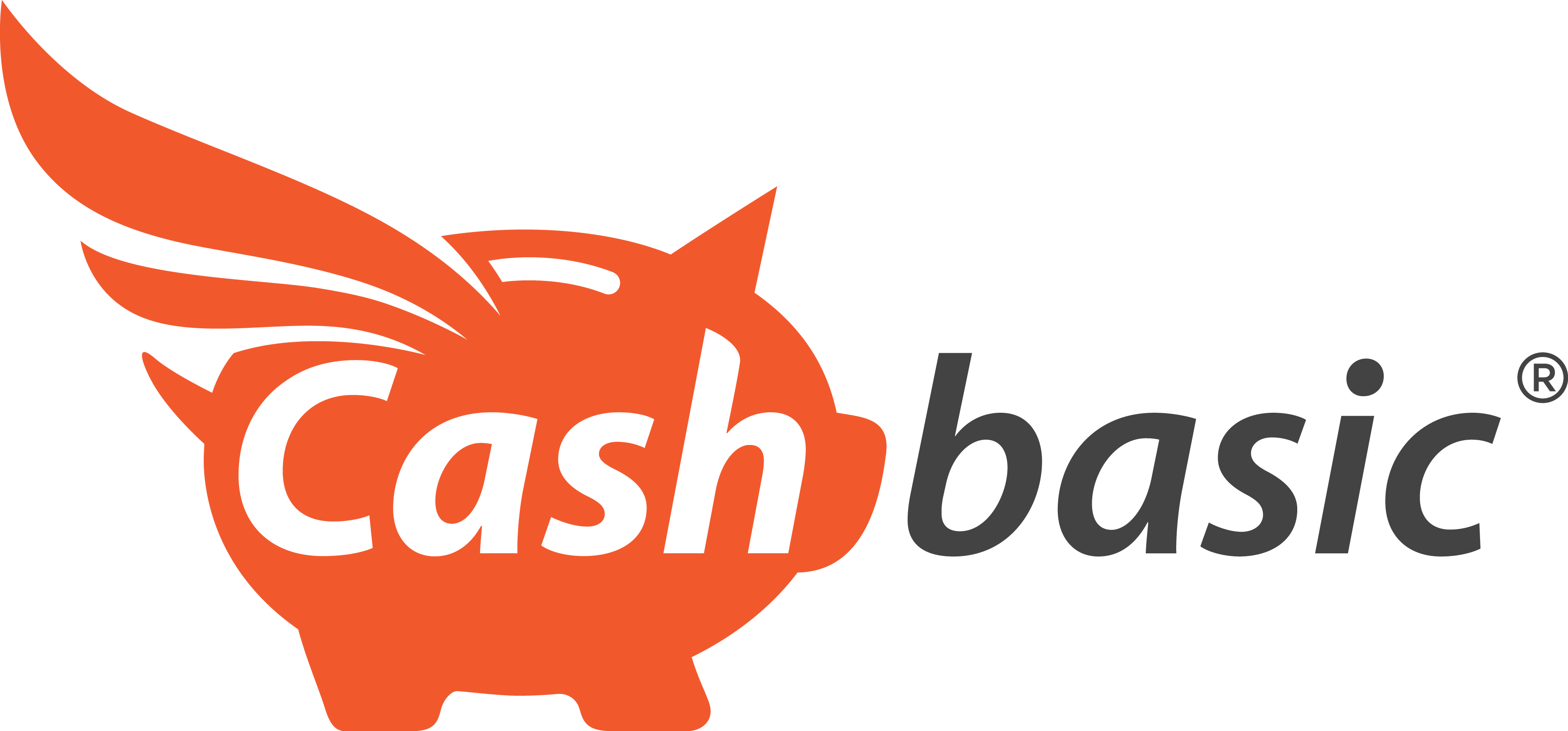 Cashbasic